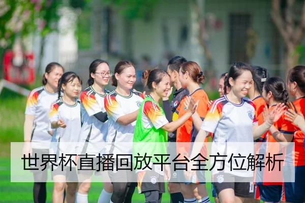 世界杯直播回放平台全方位解析