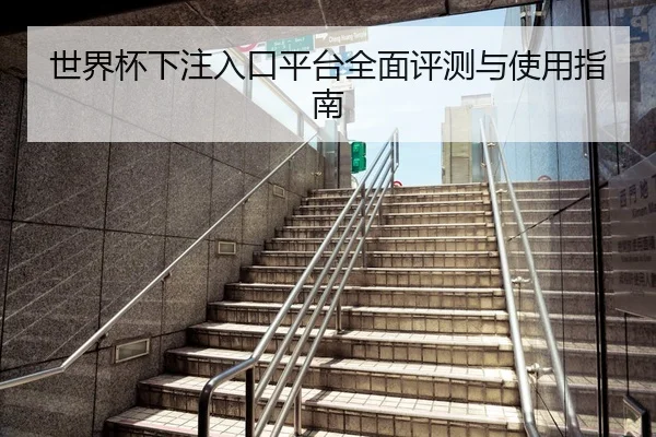 世界杯下注入口平台全面评测与使用指南