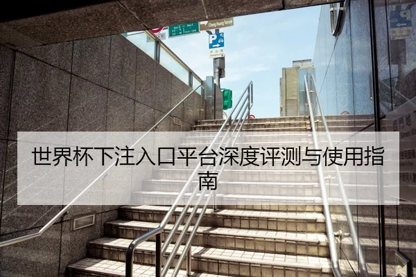 世界杯下注入口平台深度评测与使用指南