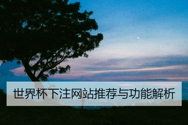 世界杯下注网站推荐与功能解析