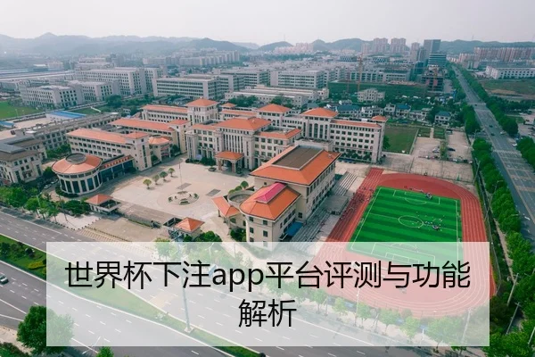 世界杯下注app平台评测与功能解析