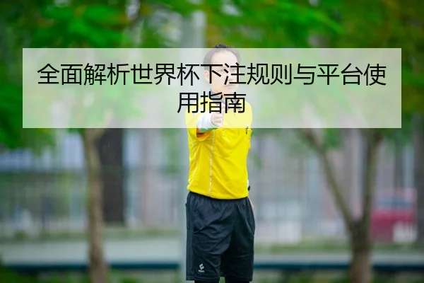 全面解析世界杯下注规则与平台使用指南