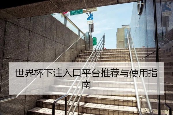 世界杯下注入口平台推荐与使用指南