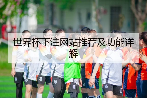 世界杯下注网站推荐及功能详解