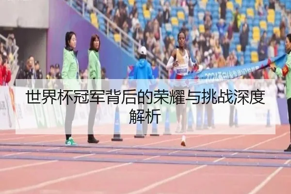 世界杯冠军背后的荣耀与挑战深度解析
