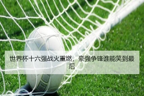 世界杯十六强战火重燃，豪强争锋谁能笑到最后
