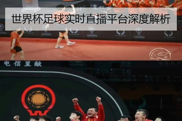 世界杯足球实时直播平台深度解析