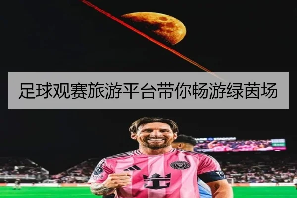 足球观赛旅游平台带你畅游绿茵场